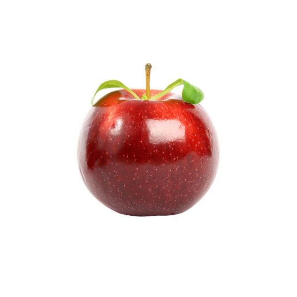 Branch Apple - Hình ảnh 2
