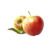 Orange - Hình ảnh 3