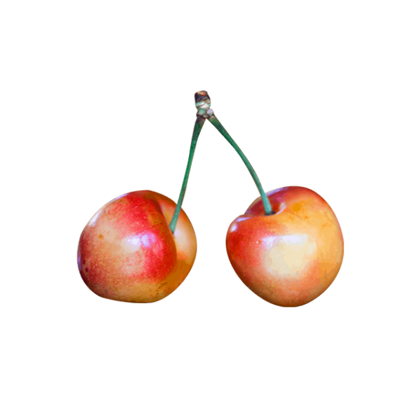 OLT Juice - Hình ảnh 2